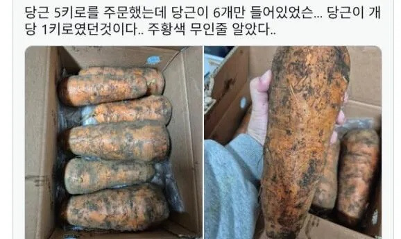 당근 5키로를 주문했는데 당근이 6개만 들어있었다 | 인스티즈