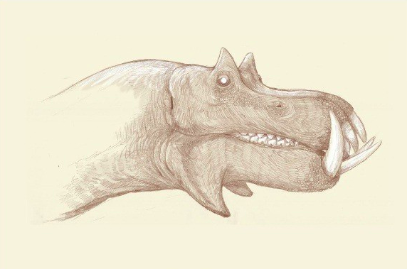 우리가 아는 공룡의 모습은 진짜일까? .jpg | 인스티즈