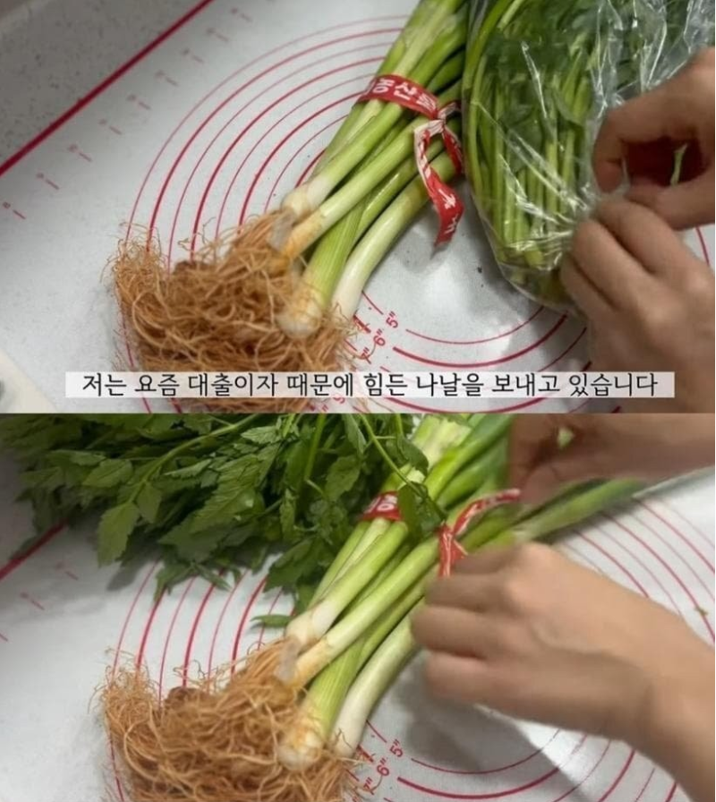 30대를 욜로족으로 살다가 40대가 된 사람...JPG | 인스티즈