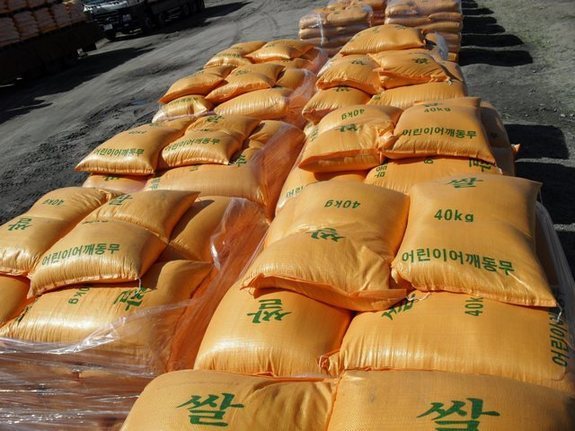 더미의 역설 | 인스티즈