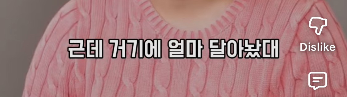 이수지가 수입 0원일때, 잊지 못하는 연예인 | 인스티즈