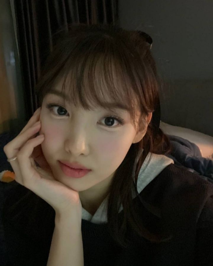 다양한 동물상 여자아이돌들! | 인스티즈