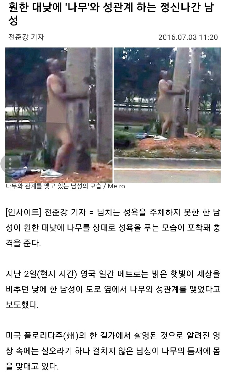 훤한 대낮에 '나무'와 성관계 하는 정신나간 남성 | 인스티즈