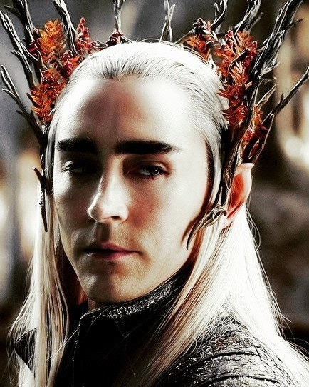 더 폴 감독 : 시나리오 작가 구함 연령제한만 4세~만 4세 반 만관부 | 인스티즈