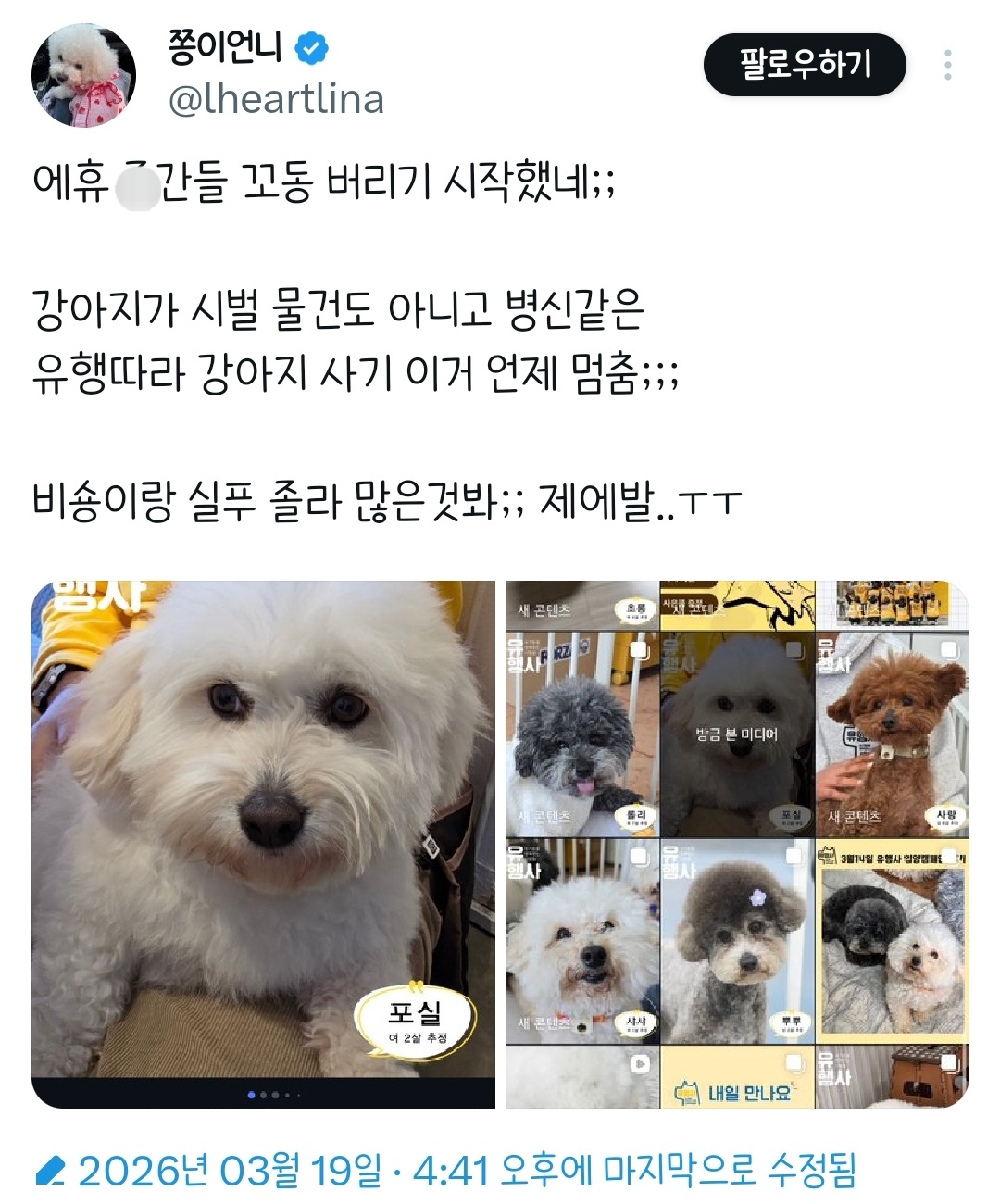 에휴 인간들 꼬동 버리기 시작했네;;.twt | 인스티즈