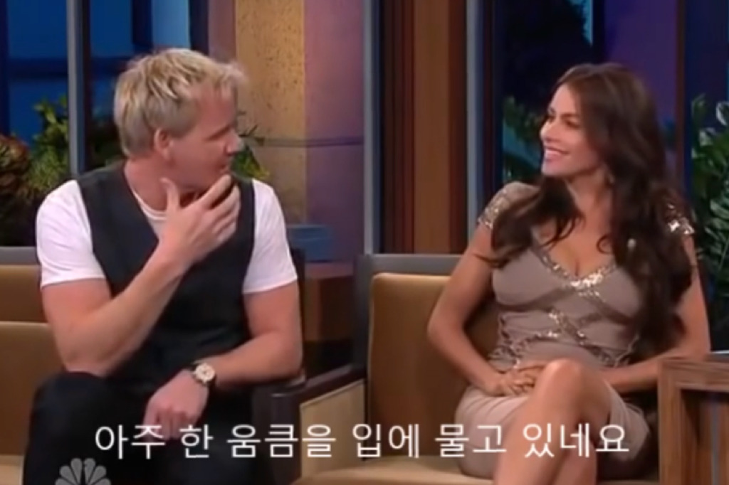 고든램지가 소피아 베르가라한테 토크쇼에서 한 행동들 .jpg | 인스티즈