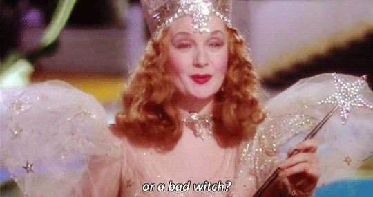 비슷하면서도 너무나 다른 두 이야기,게녀들의 취향은? | 인스티즈