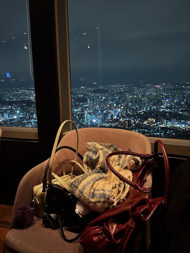 케이팝 팬이라는 미국 여배우의 한국 여행 인스타 사진들.jpg | 인스티즈