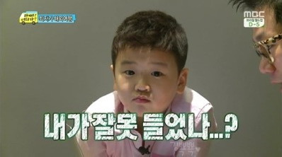 더 폴 감독 : 시나리오 작가 구함 연령제한만 4세~만 4세 반 만관부 | 인스티즈