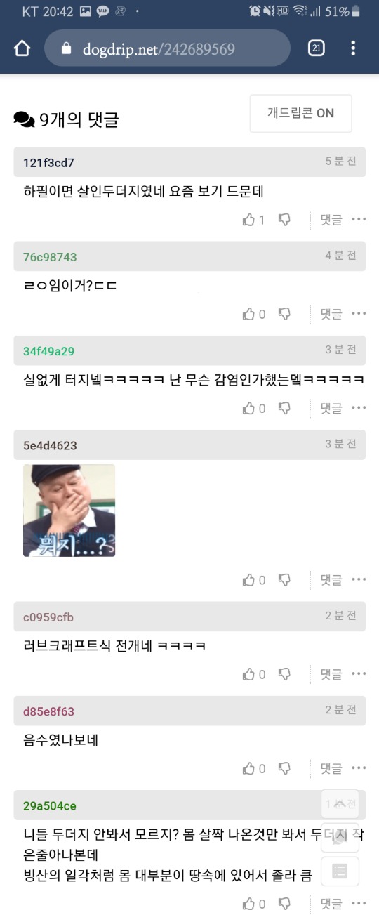 너네 두더지 함부로 만지지 마라.. 지인분 돌아가셨다... | 인스티즈