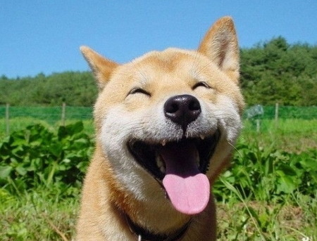 사람이 살면서 가장 행복할때는? | 인스티즈