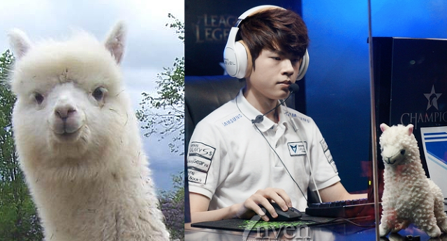 LOL 프로게이머 닮은꼴 모음(ver.3).jpg | 인스티즈