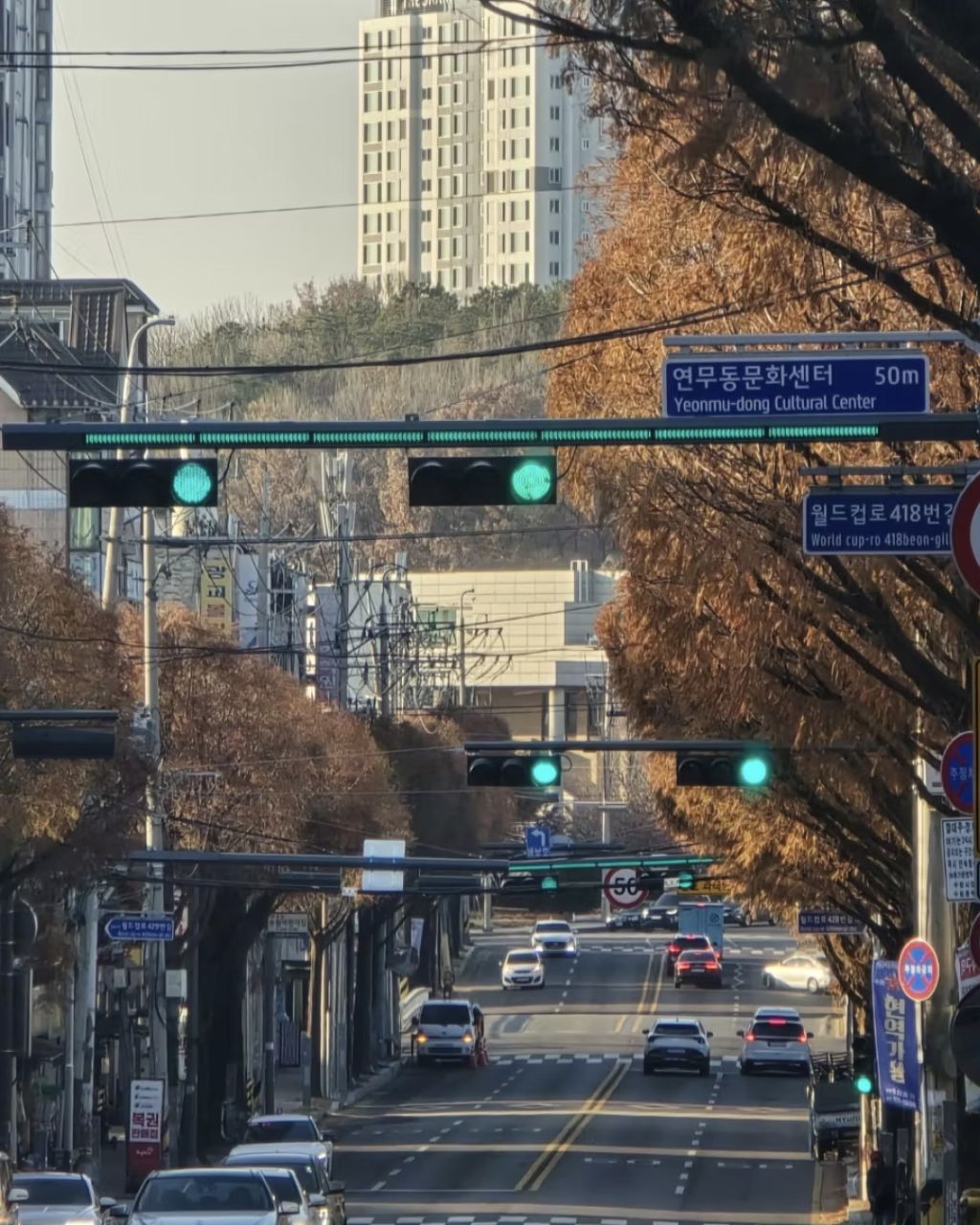 요즘 도입중이라는 LED 신호등 | 인스티즈