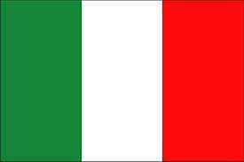 한국 피자 vs 이탈리아 피자 .jpg | 인스티즈