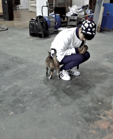 고양이가 집사한테 "넌 내꺼다냥" 이라고 표현하는 행동.gif | 인스티즈