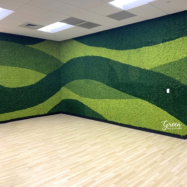 아니 누가 대체 이끼를 돈 주고 사서 인테리어 제품으로 씀?; | 인스티즈