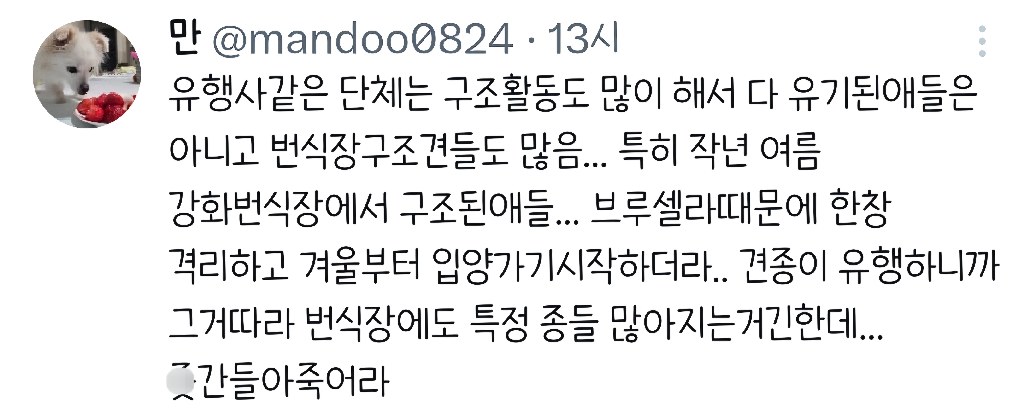 에휴 인간들 꼬동 버리기 시작했네;;.twt | 인스티즈