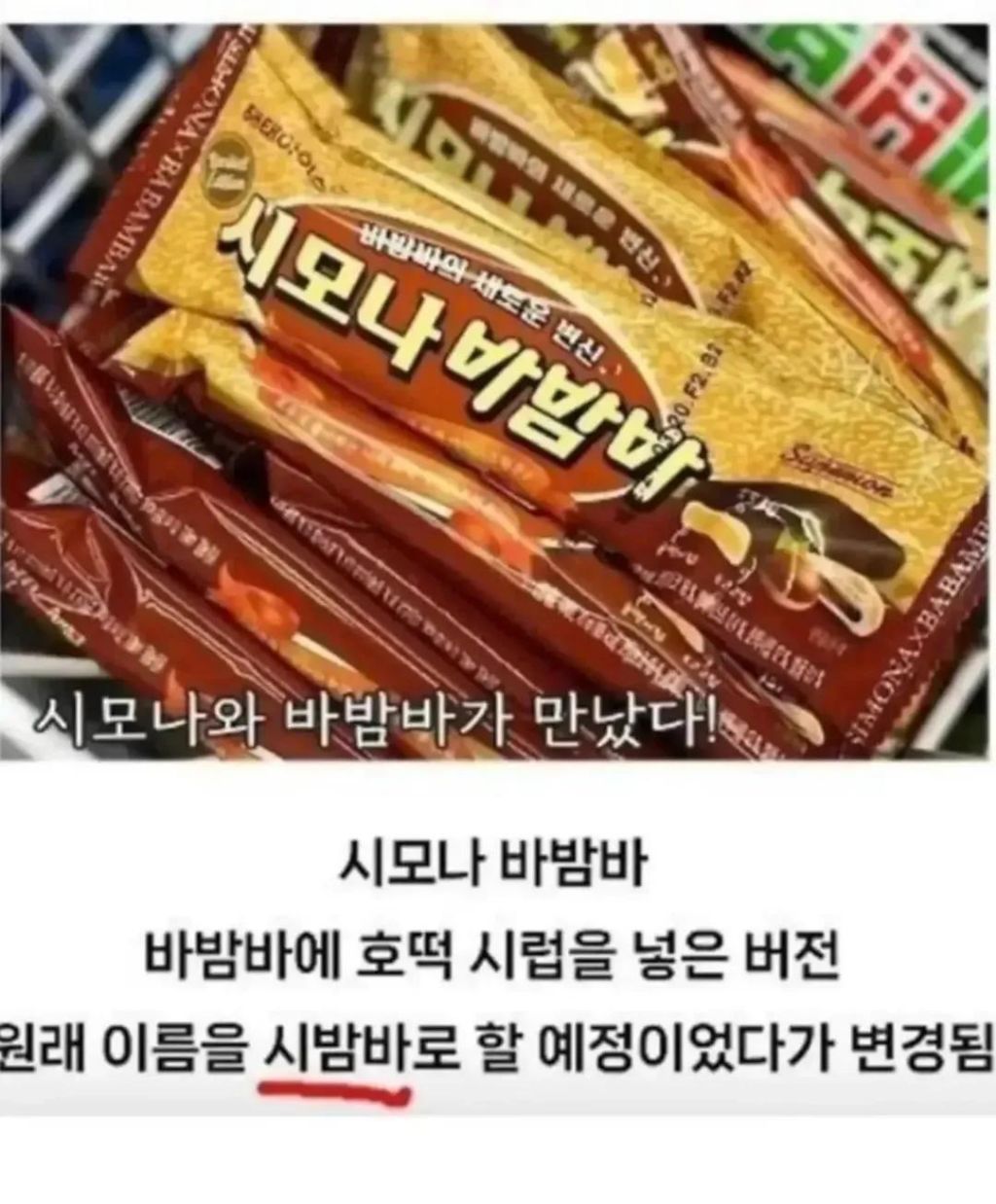 이상한 길을 걷고 있다는 바밤바 | 인스티즈