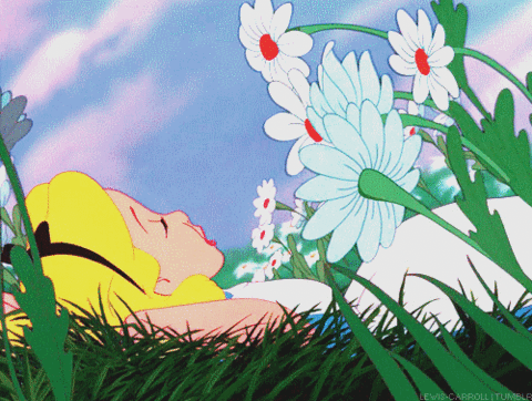 비슷하면서도 너무나 다른 두 이야기,게녀들의 취향은? | 인스티즈