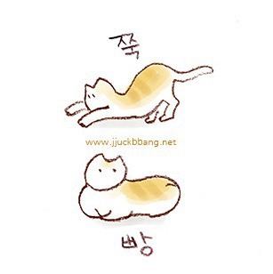 여자 남자 팬티 차이 | 인스티즈