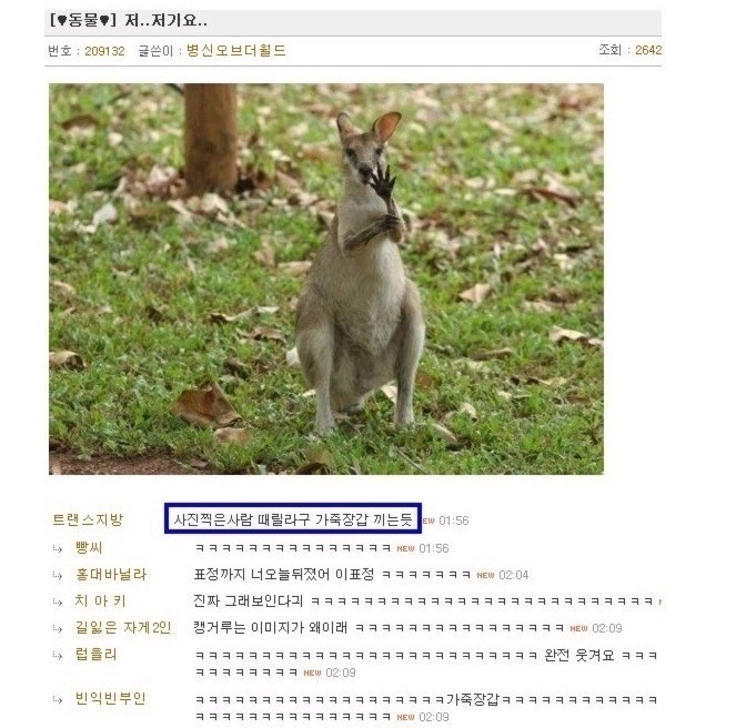 인터넷 레전드 댓글&답변들 모음.jpg | 인스티즈