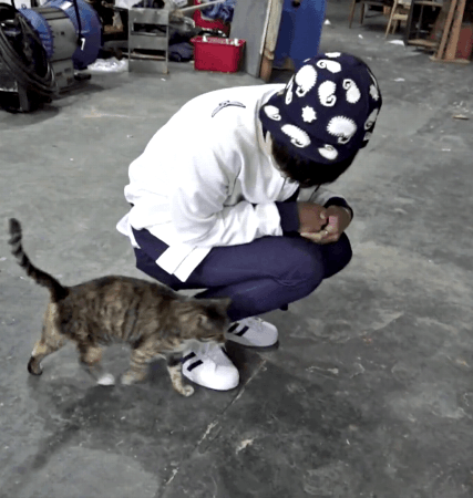 고양이가 집사한테 "넌 내꺼다냥" 이라고 표현하는 행동.gif | 인스티즈