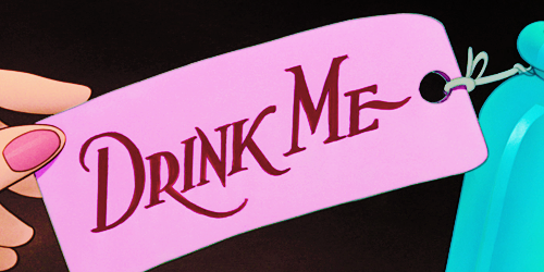 비슷하면서도 너무나 다른 두 이야기,게녀들의 취향은? | 인스티즈