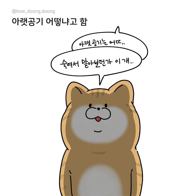 키 작은 애들 특징.jpg | 인스티즈