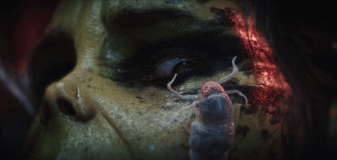 발더스게이트3 정보 ...txt | 인스티즈