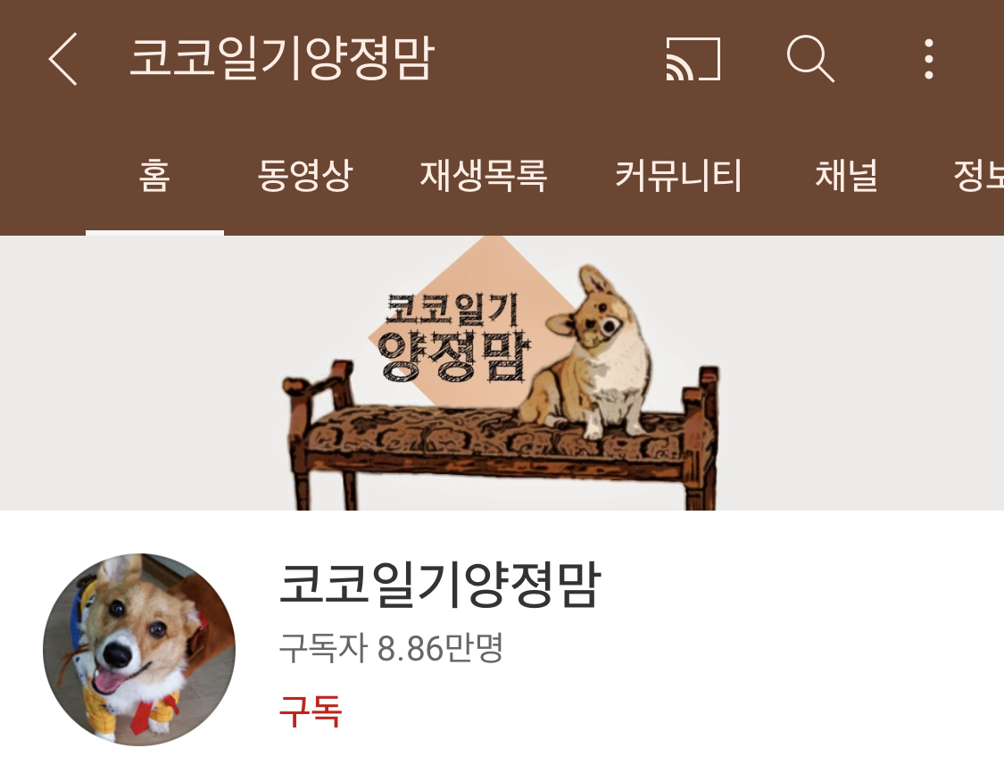 나만 안 간 거 같은 유튜버 양띵 결혼식 | 인스티즈