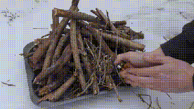 젖은 장작에도 불 붙여주는 필수템 | 인스티즈