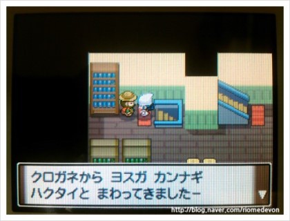 포켓몬아르세우스에 대해 알아보자! | 인스티즈