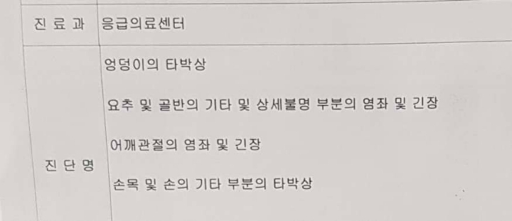 초보분들이 스노우보드를 정말 조심히 타야하는 이유.jpg | 인스티즈