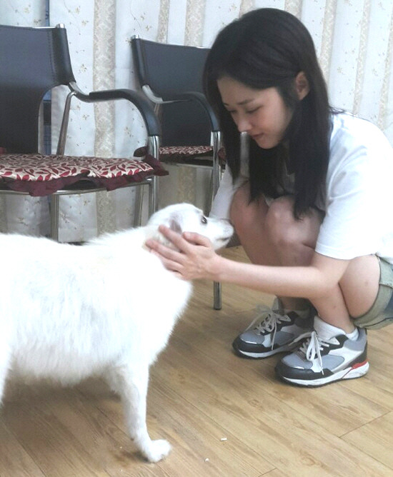 혼자서 수십마리 유기견을 구조했다는 연예인 | 인스티즈