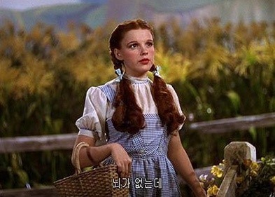 비슷하면서도 너무나 다른 두 이야기,게녀들의 취향은? | 인스티즈