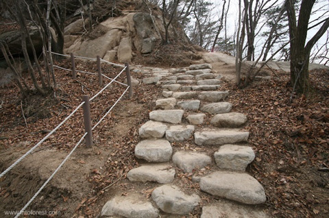 계단에서 발꼬이고 넘어질까봐 무서운 사람들 있나요? | 인스티즈