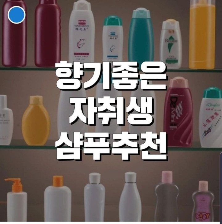 향기좋다고 소문난 자취생 샴푸 추천 | 인스티즈