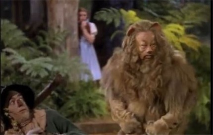 비슷하면서도 너무나 다른 두 이야기,게녀들의 취향은? | 인스티즈