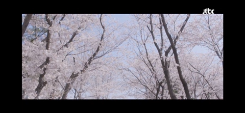 첫방한 '알고있지만'에서 가장 반응 좋았던 '나비의 첫 연애' 장면 | 인스티즈