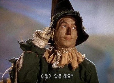 비슷하면서도 너무나 다른 두 이야기,게녀들의 취향은? | 인스티즈