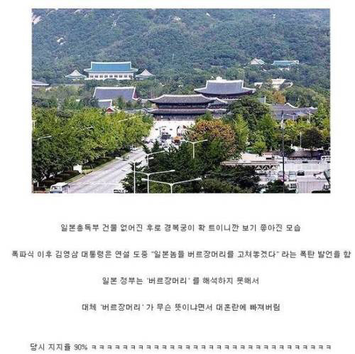 한국 근대사에서 전무후무한 인물이긴 했던 엔초비 프린스 김영삼 전대통령.jpg | 인스티즈