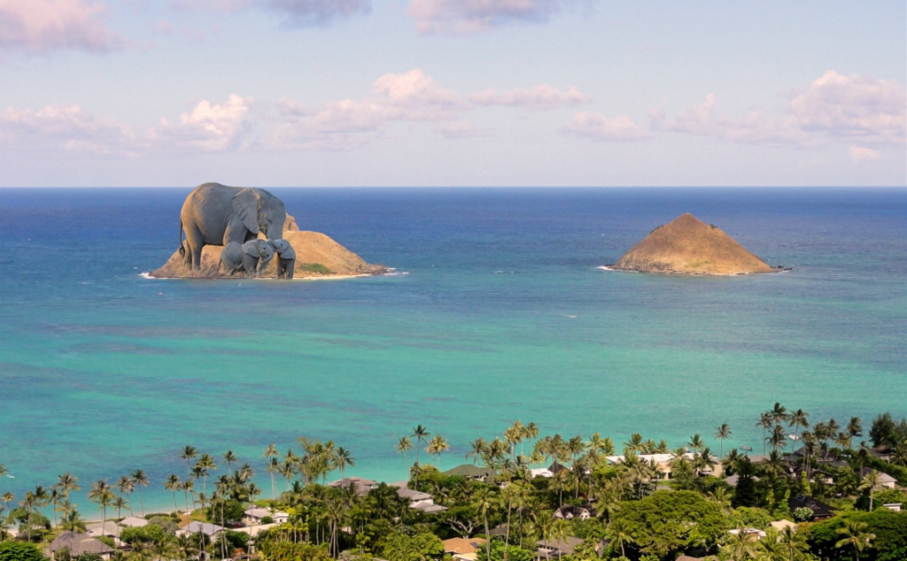 더 폴 감독 : 시나리오 작가 구함 연령제한만 4세~만 4세 반 만관부 | 인스티즈
