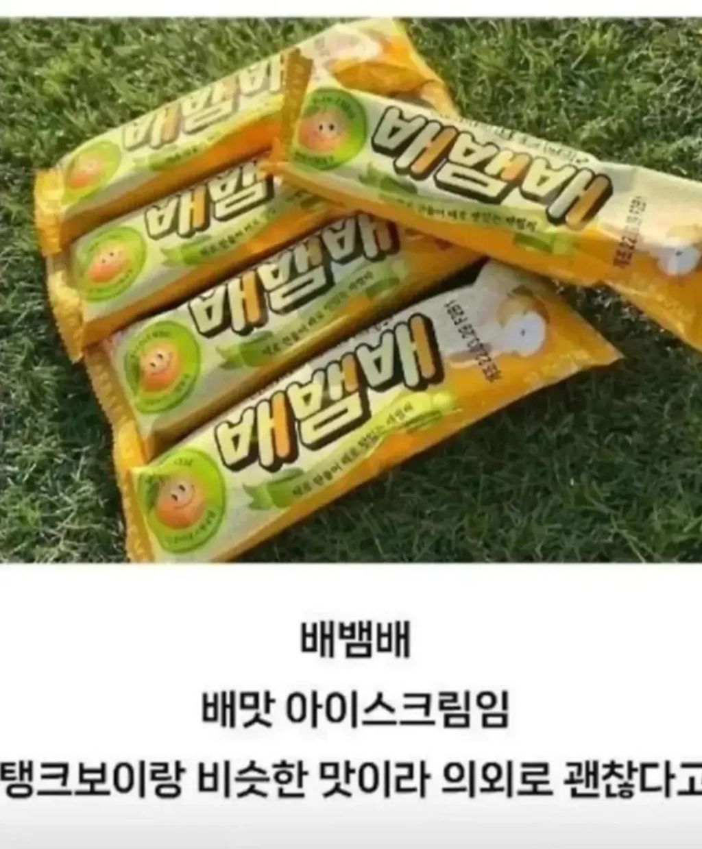 이상한 길을 걷고 있다는 바밤바 | 인스티즈