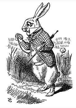 비슷하면서도 너무나 다른 두 이야기,게녀들의 취향은? | 인스티즈