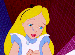 비슷하면서도 너무나 다른 두 이야기,게녀들의 취향은? | 인스티즈