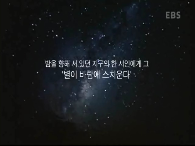 광복6개월을 남기고 별이 된 시인 "윤동주" | 인스티즈