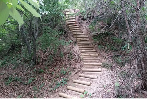 계단에서 발꼬이고 넘어질까봐 무서운 사람들 있나요? | 인스티즈