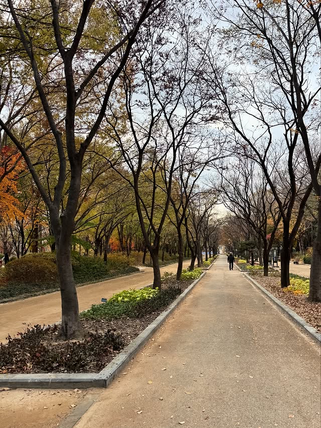 케이팝 팬이라는 미국 여배우의 한국 여행 인스타 사진들.jpg | 인스티즈