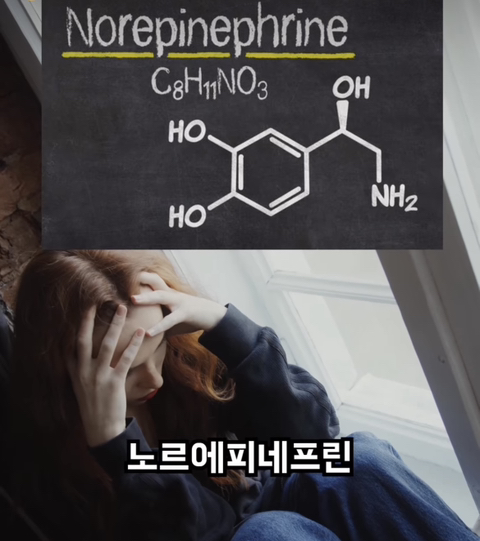달리기 (러닝) 을 안하는게 손해인 이유 | 인스티즈