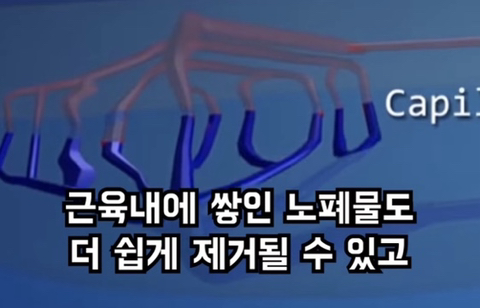 달리기 (러닝) 을 안하는게 손해인 이유 | 인스티즈